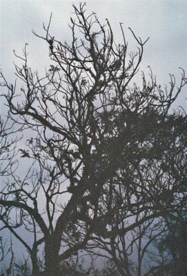 000008-ajustadas.JPG