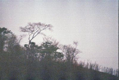 000036-ajustadas.JPG