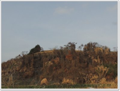 DSCN9198.JPG