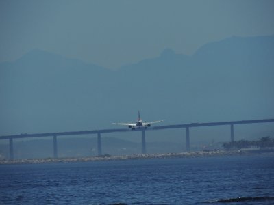 Avies sobre a Urca