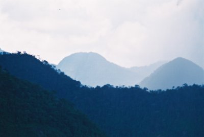 F1001.JPG