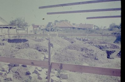 IMAG0317.JPG