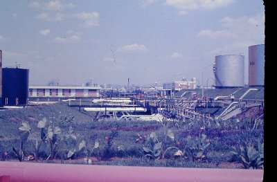 IMAG0013.JPG