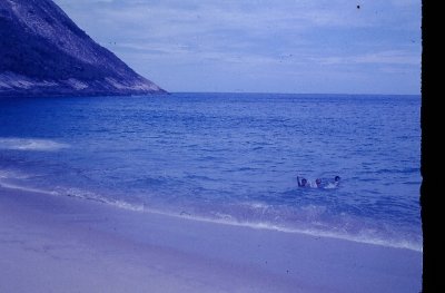 IMAG0127.JPG