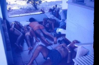 IMAG0132.JPG
