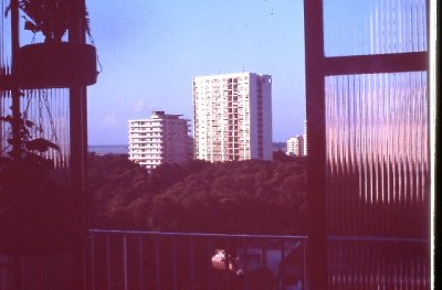 IMAG0253.JPG