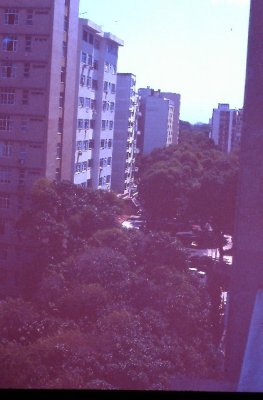 IMAG0262.JPG