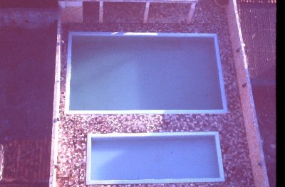 IMAG0263.JPG
