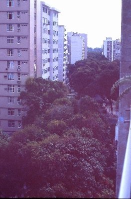 IMAG0267.JPG