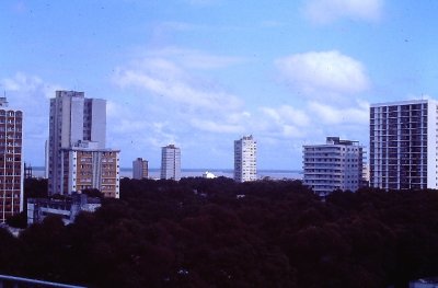 IMAG0311.JPG