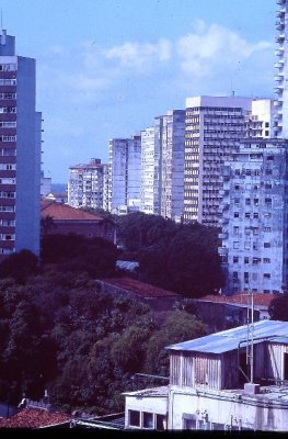 IMAG0312.JPG