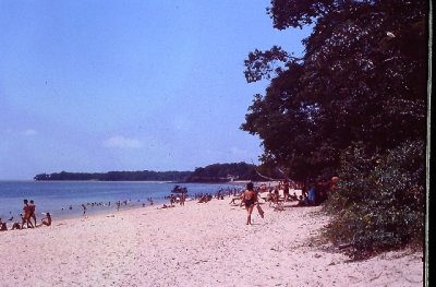 IMAG0316.JPG