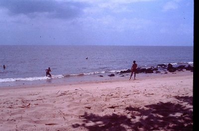 IMAG0317.JPG