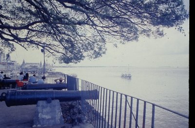 IMAG0412.JPG