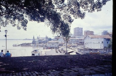 IMAG0428.JPG