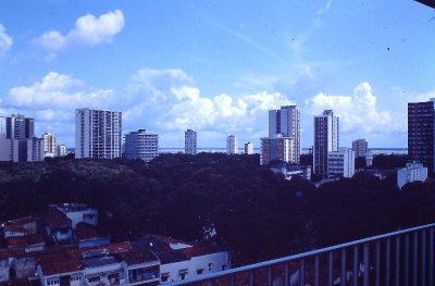 IMAG0430.JPG