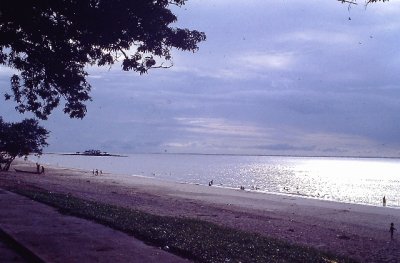 IMAG0435.JPG