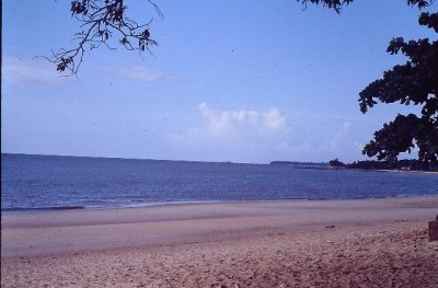 IMAG0437.JPG