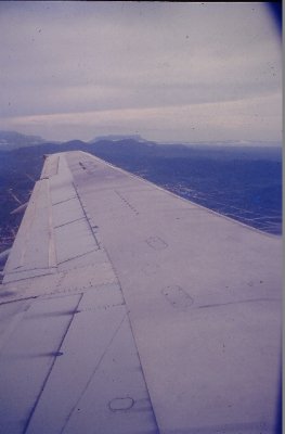 IMAG0515.JPG