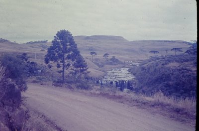 IMAG0625.JPG