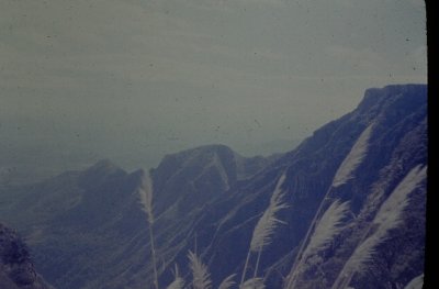 IMAG0878.JPG