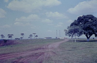 IMAG0926.JPG