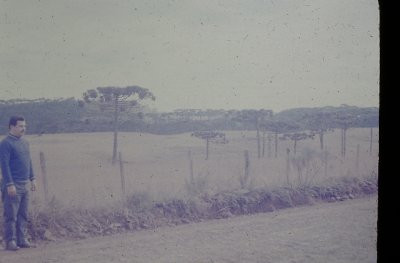 IMAG1142.JPG