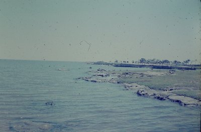 IMAG1145.JPG