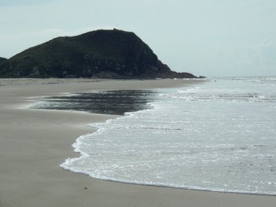 DSCN0223.JPG