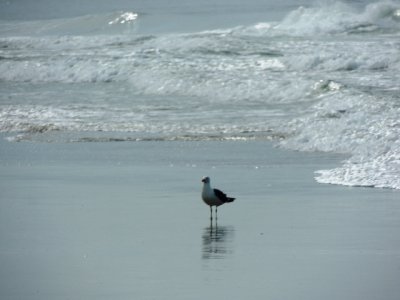DSCN0227.JPG