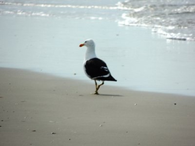 DSCN0231.JPG