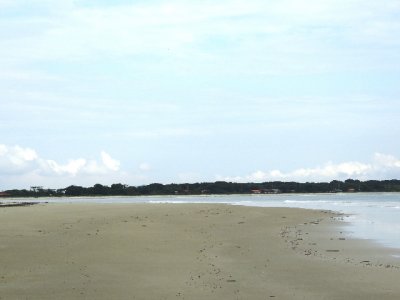 DSCN0526.JPG