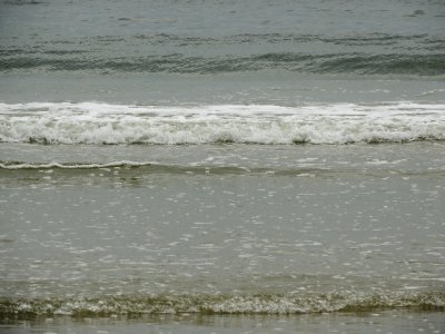 DSCN0528.JPG