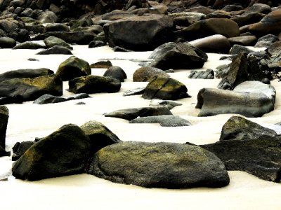 DSCN0536.JPG