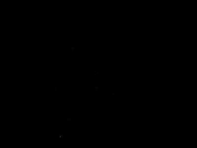 DSCN0408.JPG