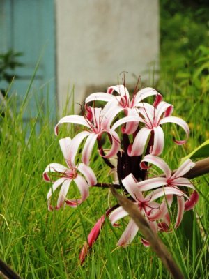 DSCN0489.JPG