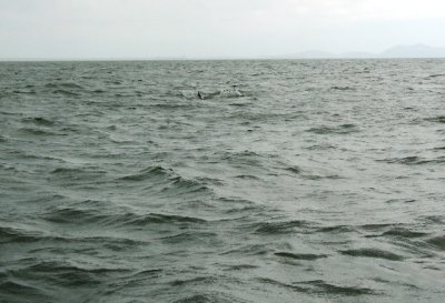 DSCN0787.JPG