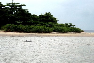 DSCN0809.JPG