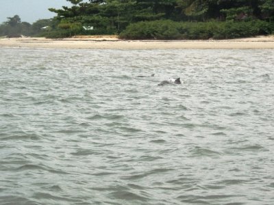 DSCN0822.JPG