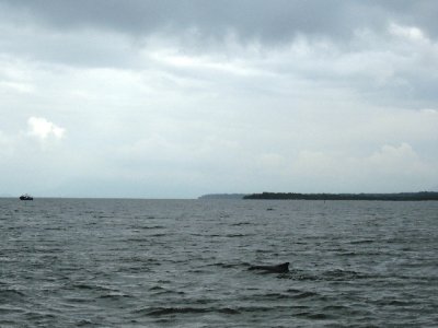 DSCN0827.JPG