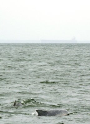DSCN0829.JPG