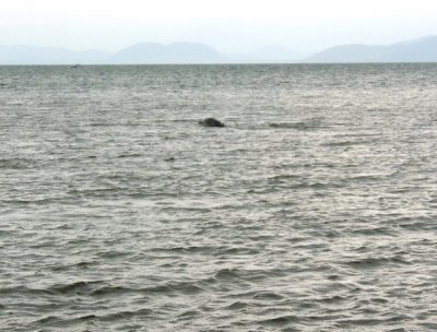 DSCN0842.JPG