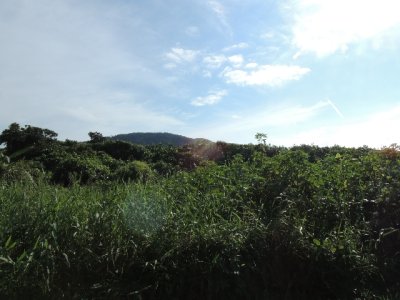 DSCN0122.JPG