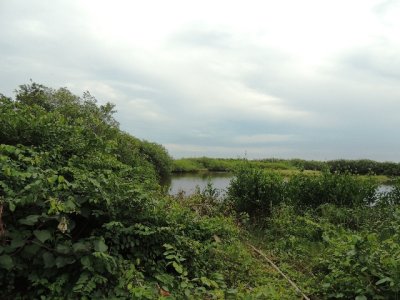 DSCN0480.JPG