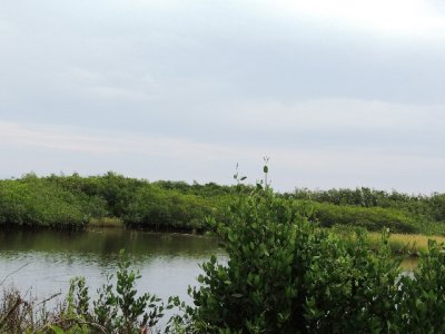 DSCN0481.JPG