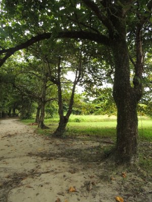 DSCN0598.JPG