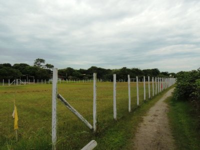 DSCN0605.JPG