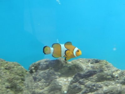 DSCN1208.JPG