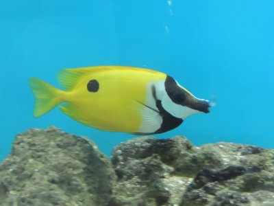 DSCN1209.JPG