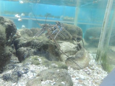 DSCN1217.JPG